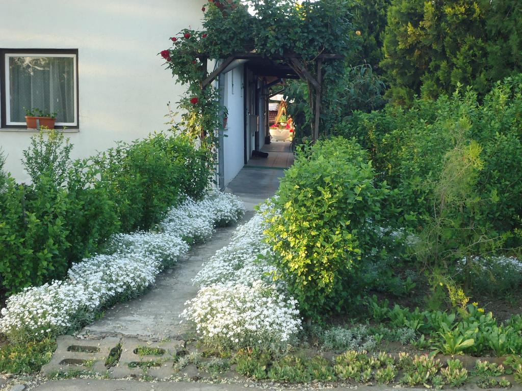 Hotel Deutsches Haus à Szabadkígyós Extérieur photo